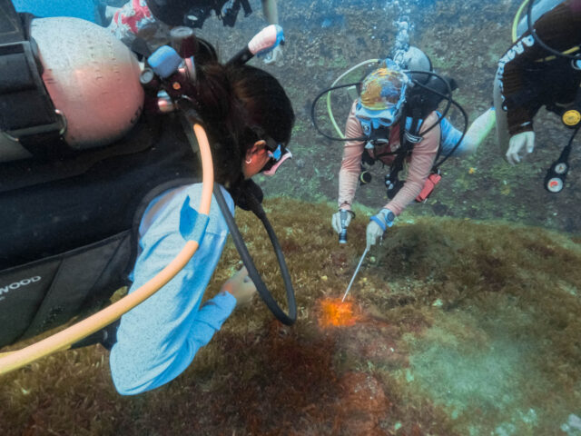 Diver shining a light on something in the ocean.