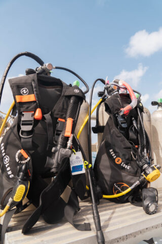 Dive gear.