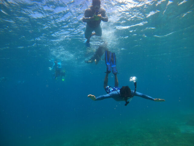 Campers diving.