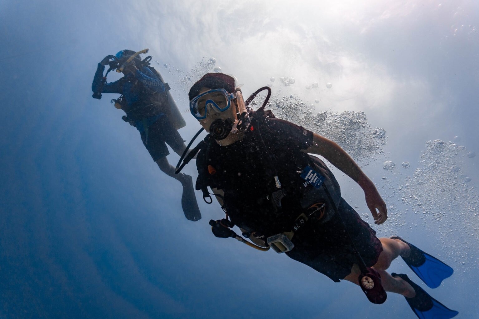 Divers swimming under water.